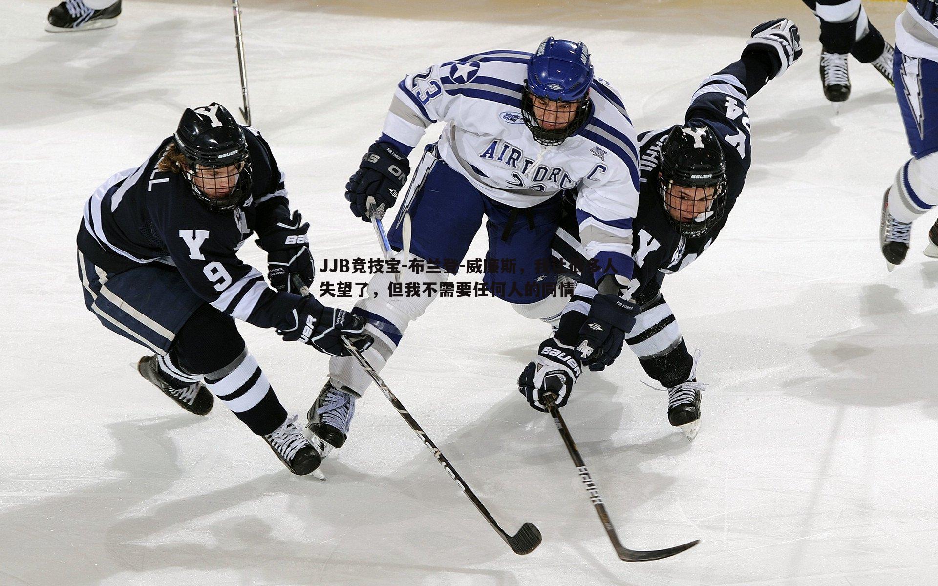布兰登-威廉斯，我让很多人失望了，但我不需要任何人的同情